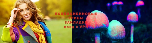 СК Долгопрудный