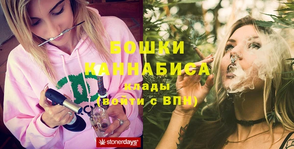 СК Долгопрудный