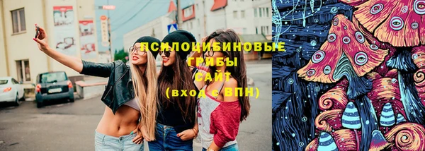 СК Долгопрудный