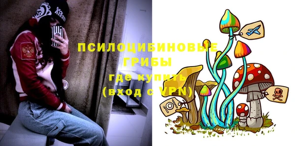 СК Долгопрудный