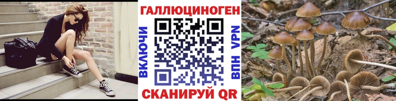 Псилоцибиновые грибы Cubensis  Ардон 